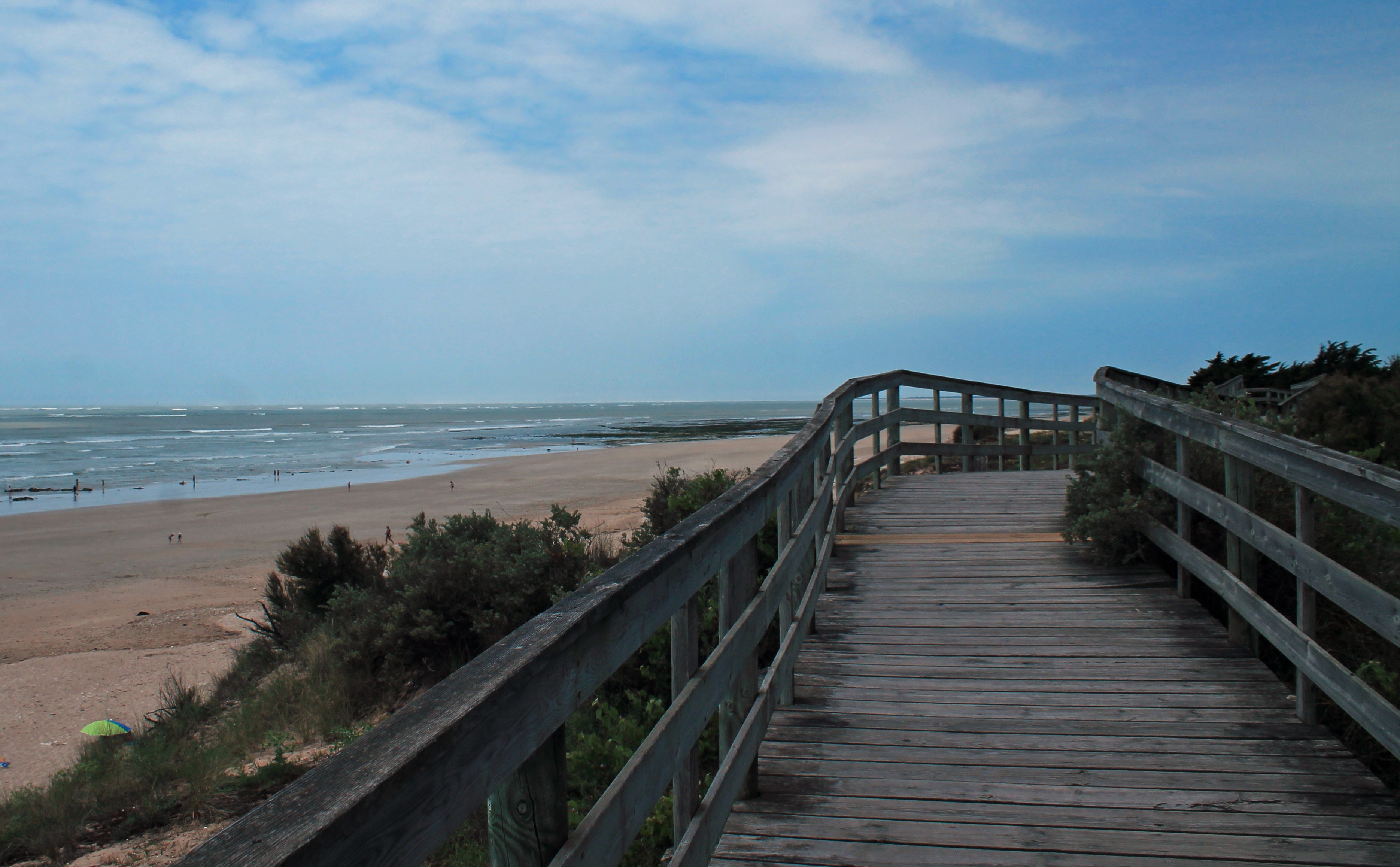 Wallpapers Nature Seas - Oceans - Beaches l île de ré