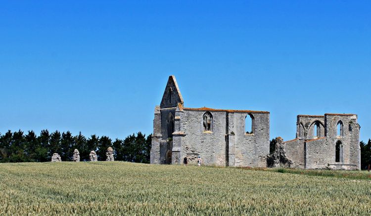 Fonds d'cran Constructions et architecture Ruines - Vestiges abbaye