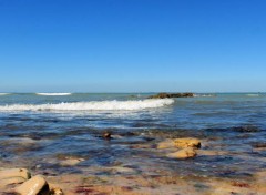  Nature l île de ré