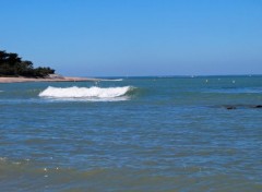  Nature l île de ré