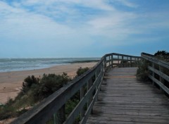  Nature l île de ré