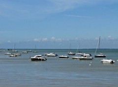  Nature l île de ré