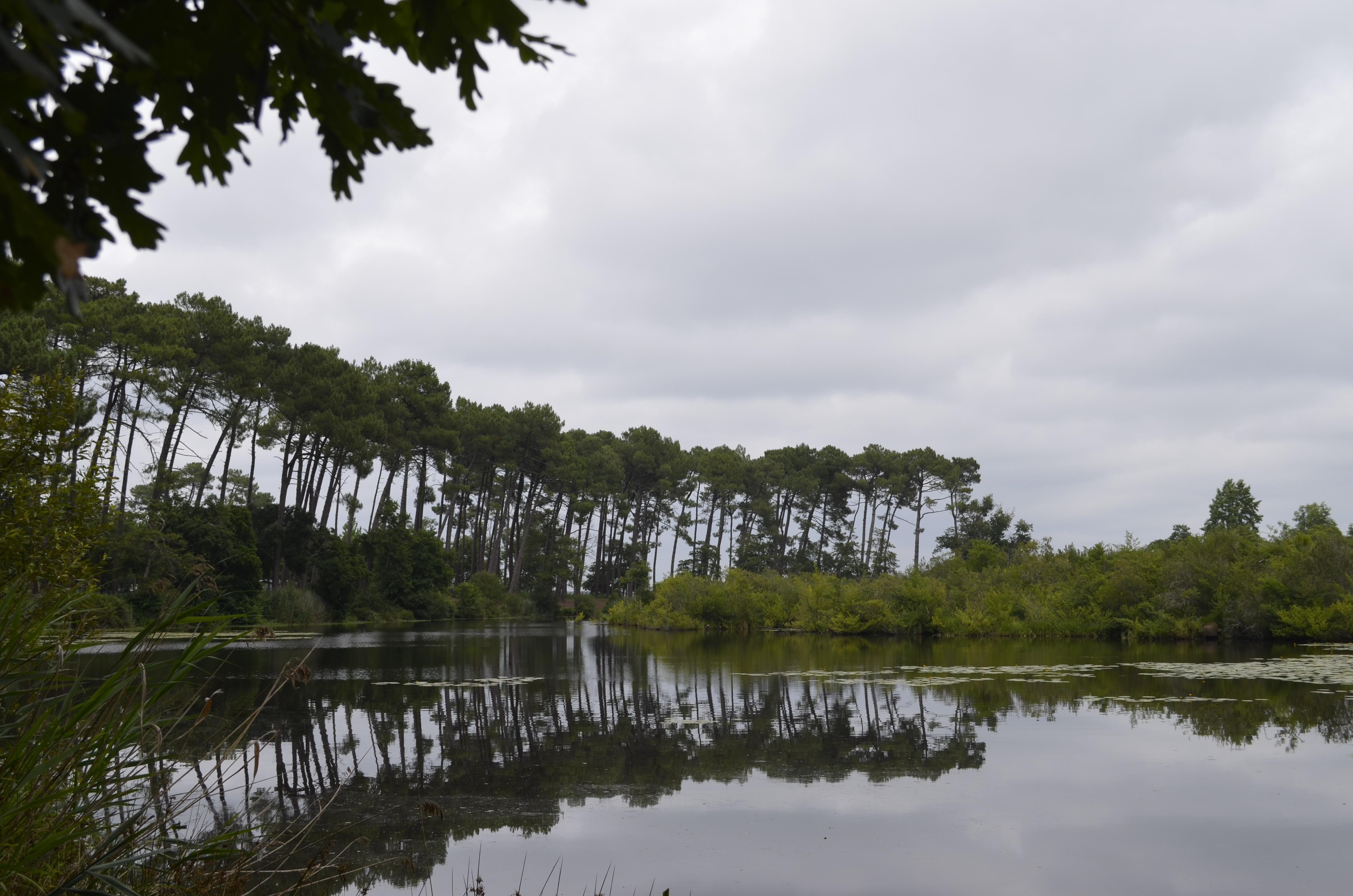 Fonds d'cran Art - Numrique Nature - Paysages Miroir