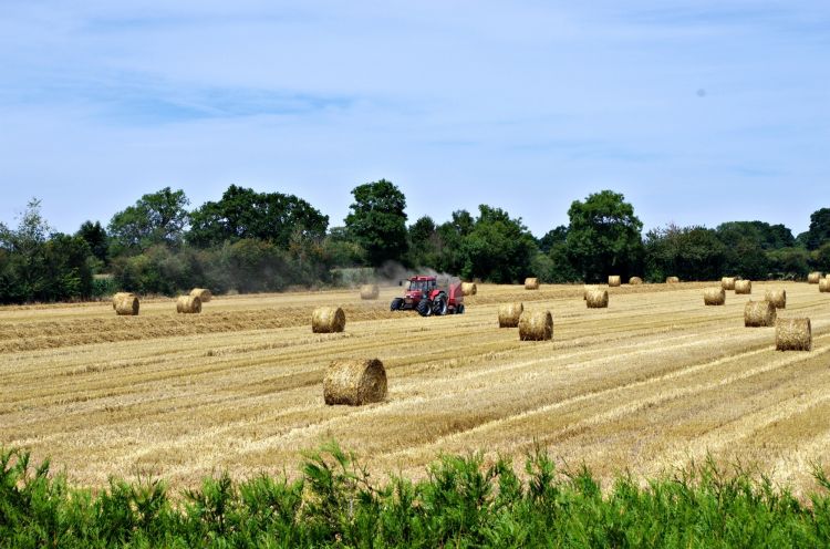 Fonds d'cran Nature Champs - Prairies travaux dans les champs