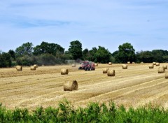  Nature travaux dans les champs