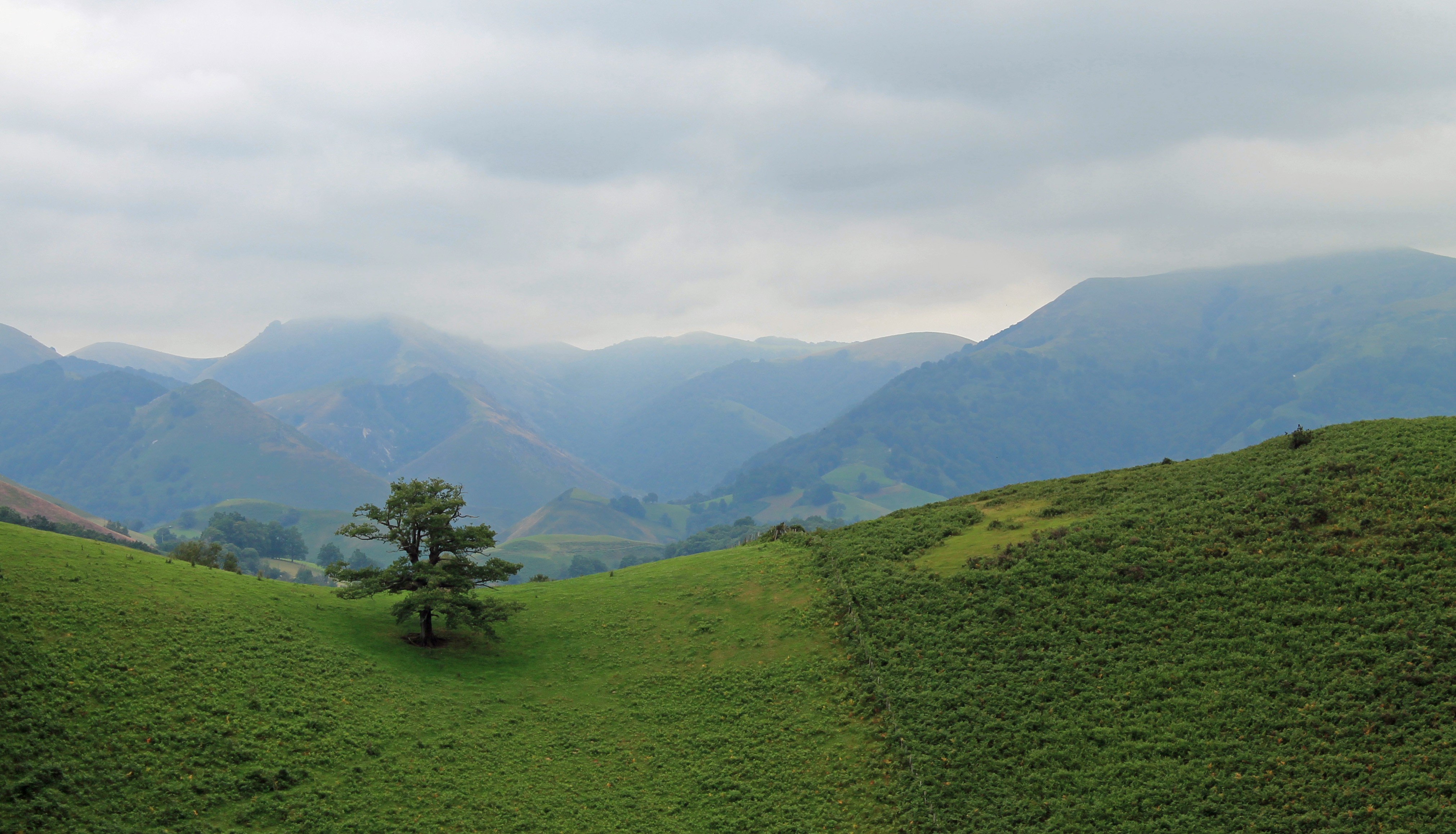 Wallpapers Nature Landscapes pays basque 