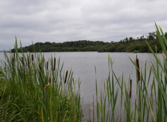  Nature Parc floral Mimizan