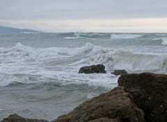  Nature l'océan à Biarritz