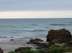  Nature l'océan à Biarritz