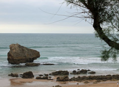  Nature l'océan à Biarritz