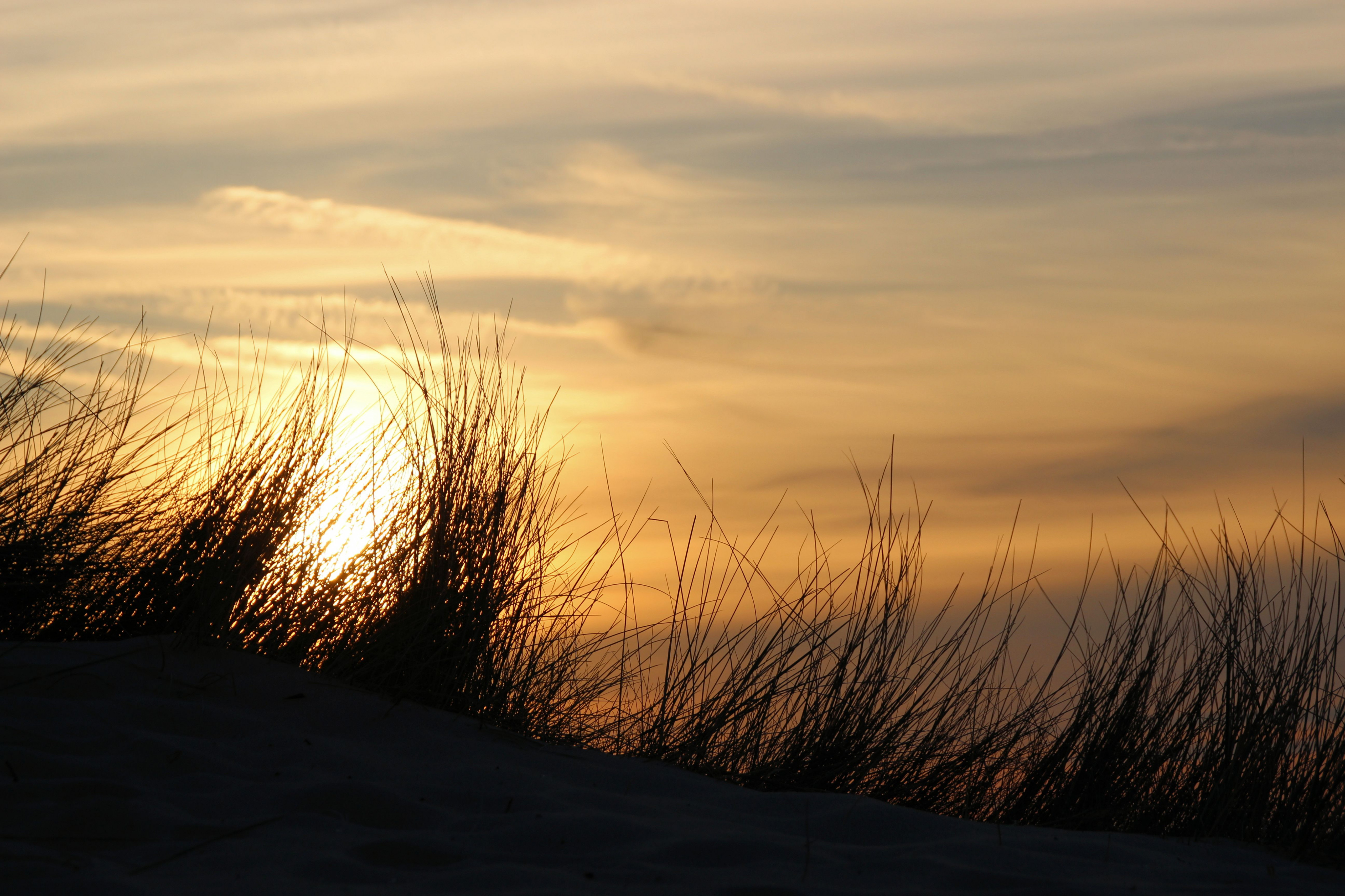 Fonds d'cran Nature Couchers et levers de Soleil 