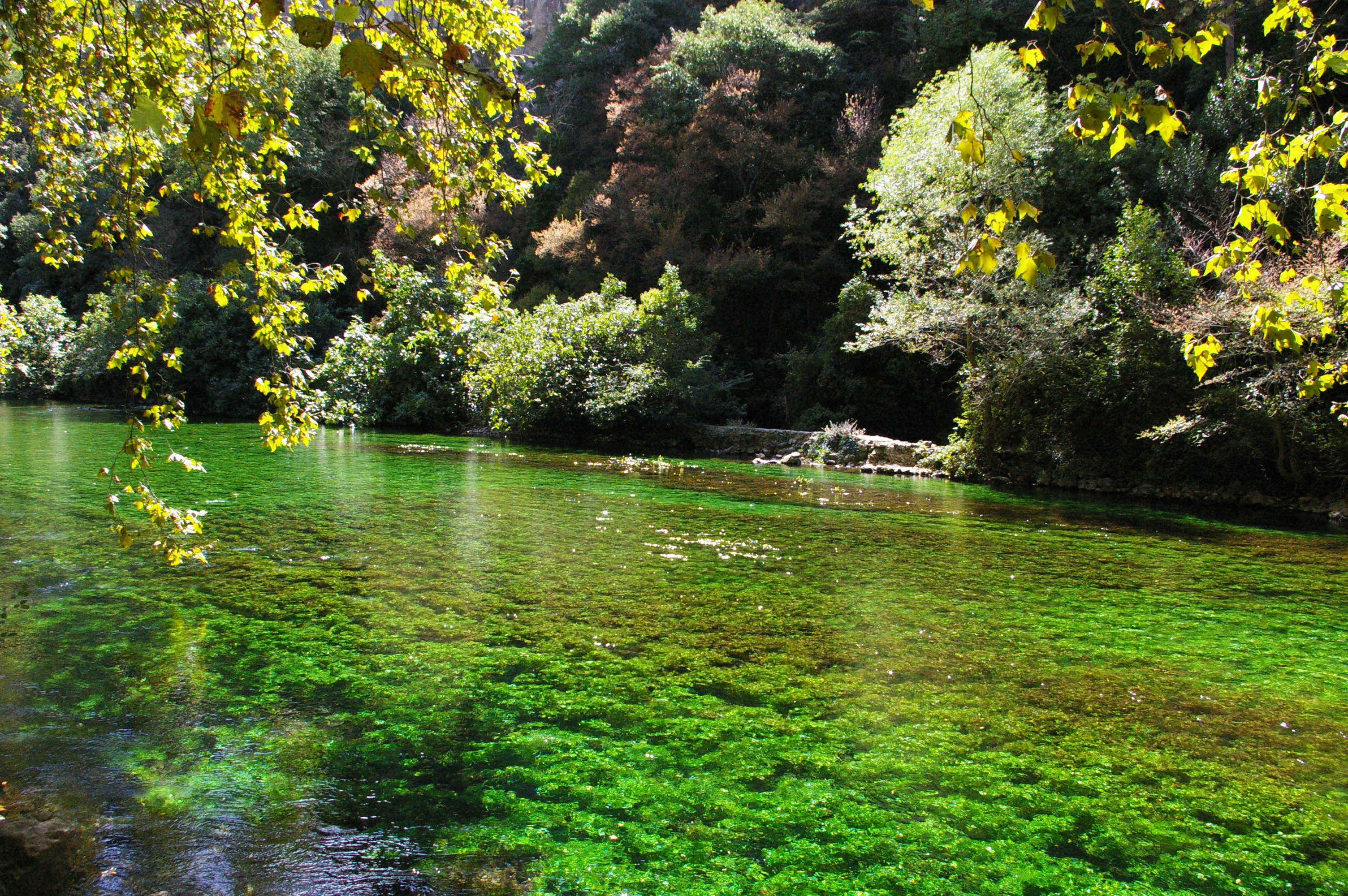 Fonds d'cran Nature Eau 