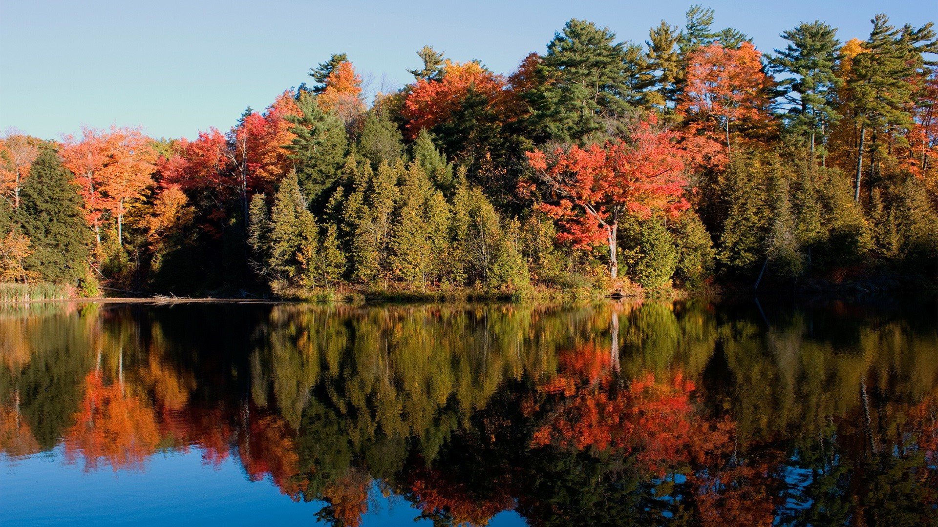 Fonds d'cran Nature Saisons - Automne 