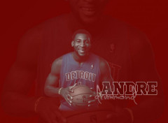  Sports - Leisures Andre Drummond