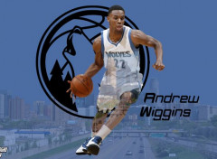  Sports - Leisures Andrew Wiggins