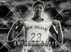  Sports - Leisures Anthony Davis