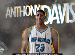  Sports - Leisures Anthony Davis