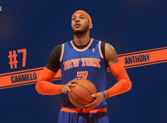  Sports - Leisures Carmelo Anthony