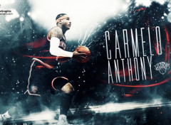  Sports - Leisures Carmelo Anthony