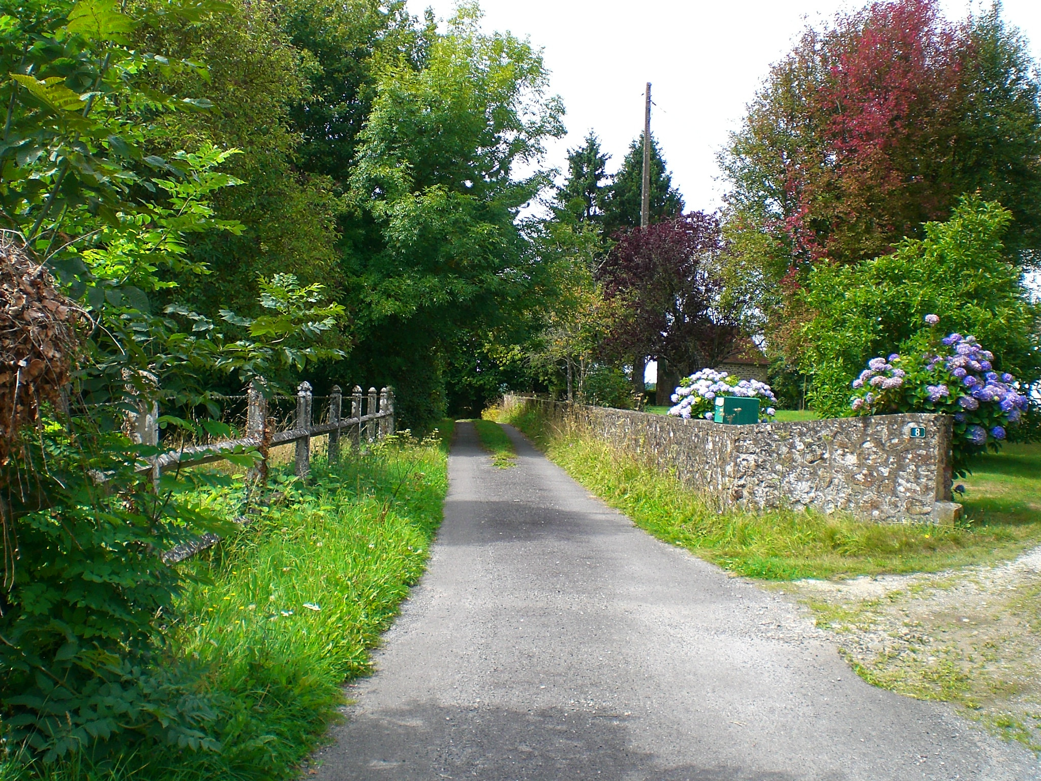 Wallpapers Nature Campaign Chemin de promenade Durcet (61)