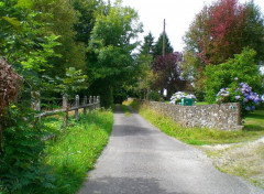  Nature Chemin de promenade Durcet (61)
