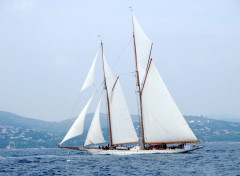  Bateaux Goélette