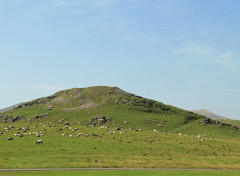  Nature pays basque : sur le chemin de St Jacques de Compostelle