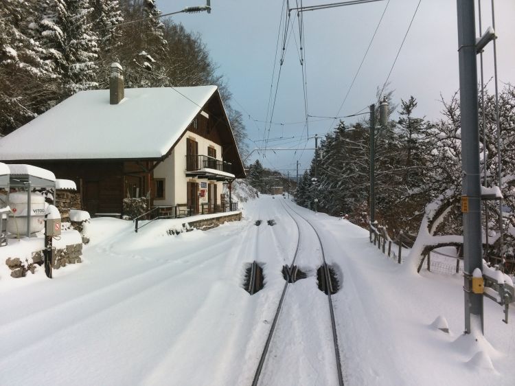 Wallpapers Constructions and architecture Stations - Railroads Slction 125me Anniversaire Yverdon Sainte-Croix