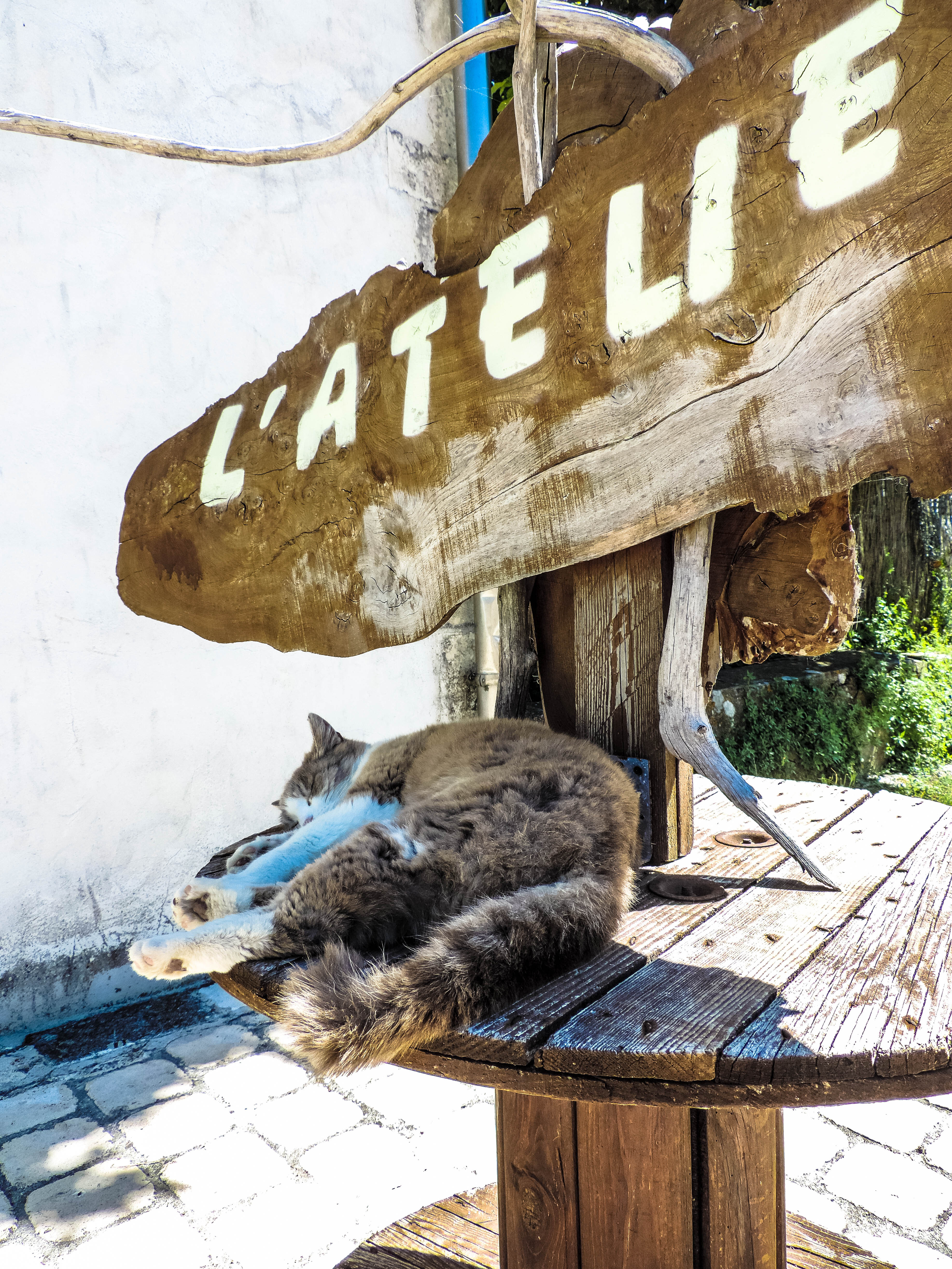 Fonds d'cran Animaux Chats - Chatons 