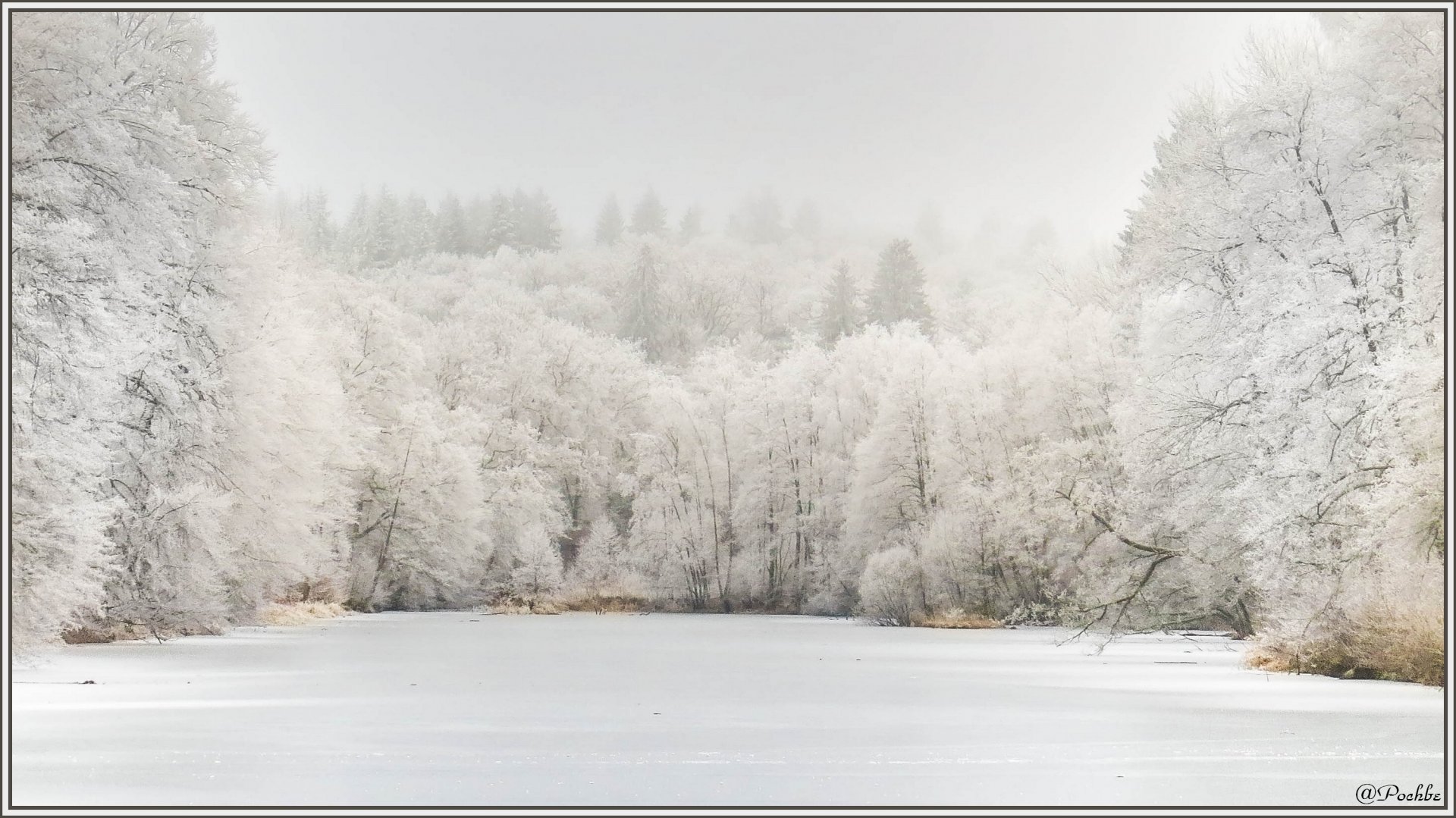 Fonds d'cran Nature Divers - Compositions 