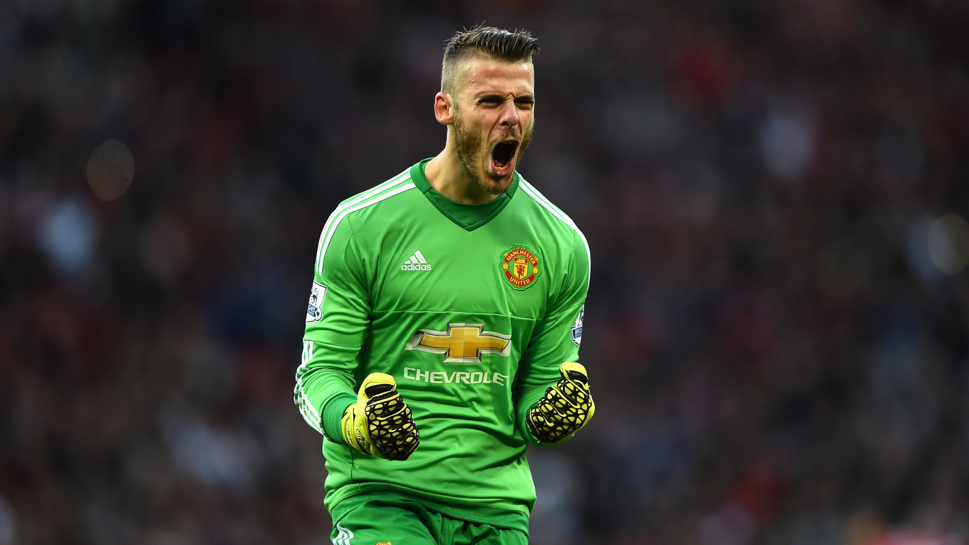 Fonds d'cran Sports - Loisirs David De Gea David De Gea