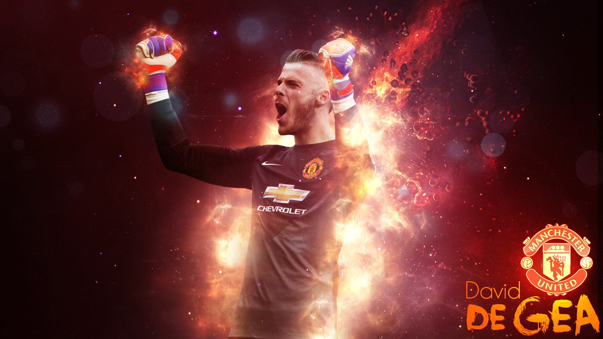 Wallpapers Sports - Leisures  David De Gea