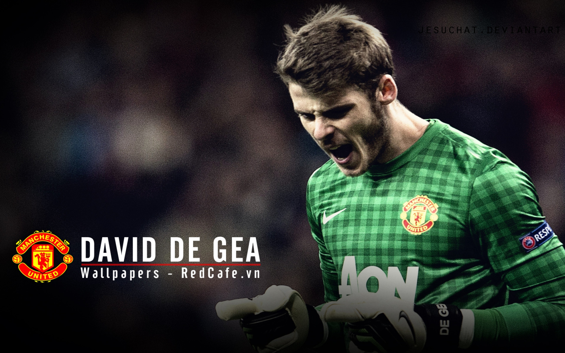 Wallpapers Sports - Leisures  David De Gea