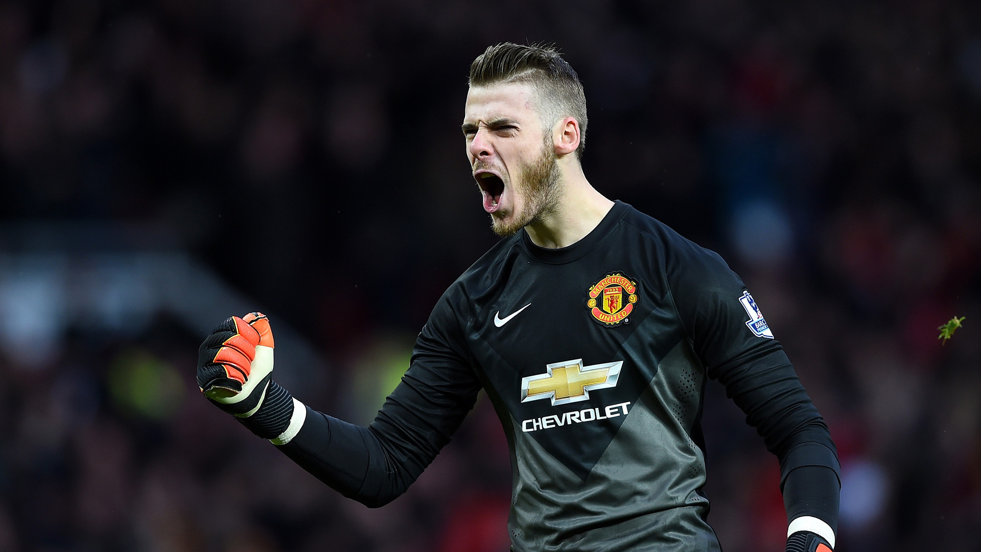 Fonds d'cran Sports - Loisirs David De Gea David De Gea