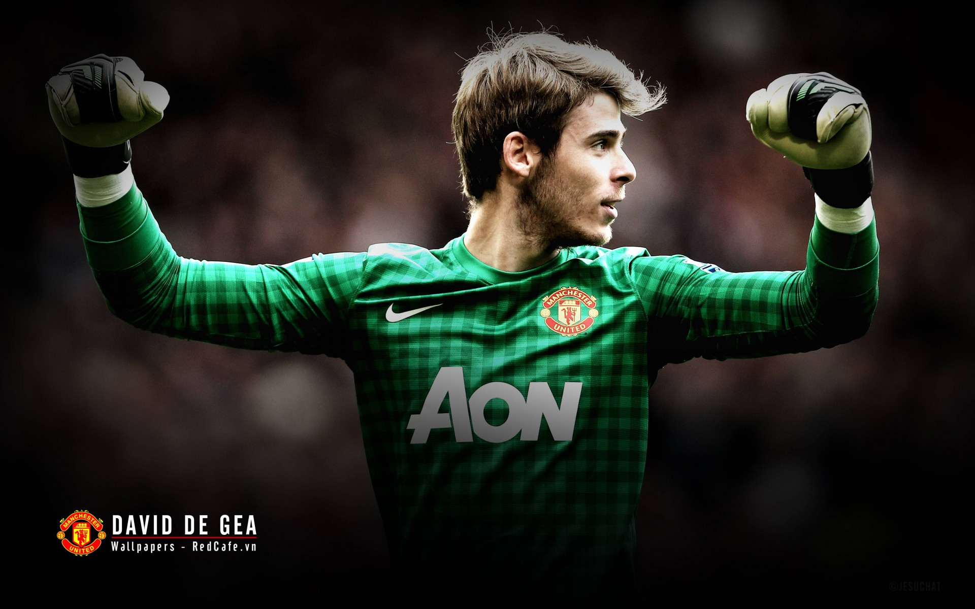 Wallpapers Sports - Leisures  David De Gea