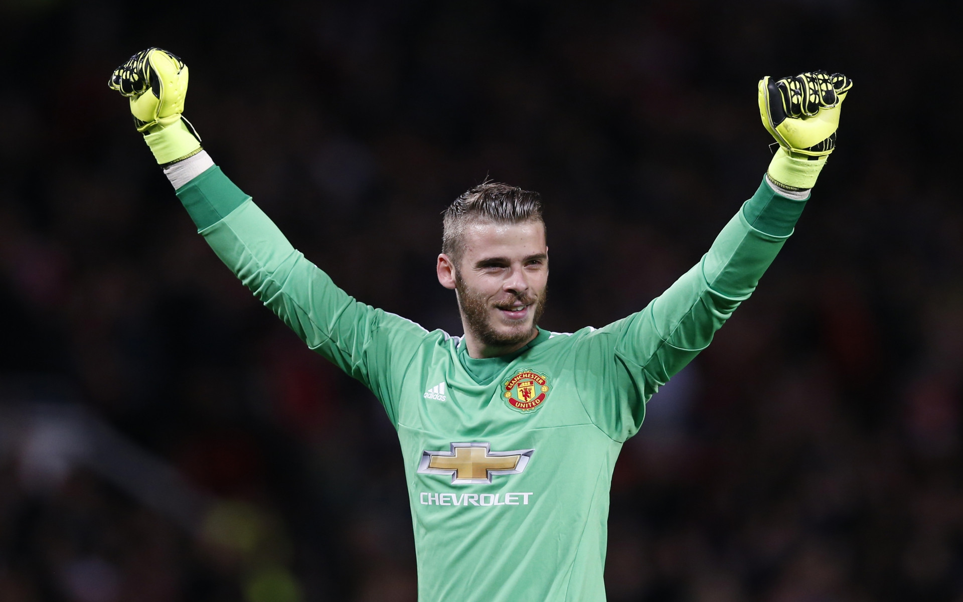 Wallpapers Sports - Leisures  David De Gea