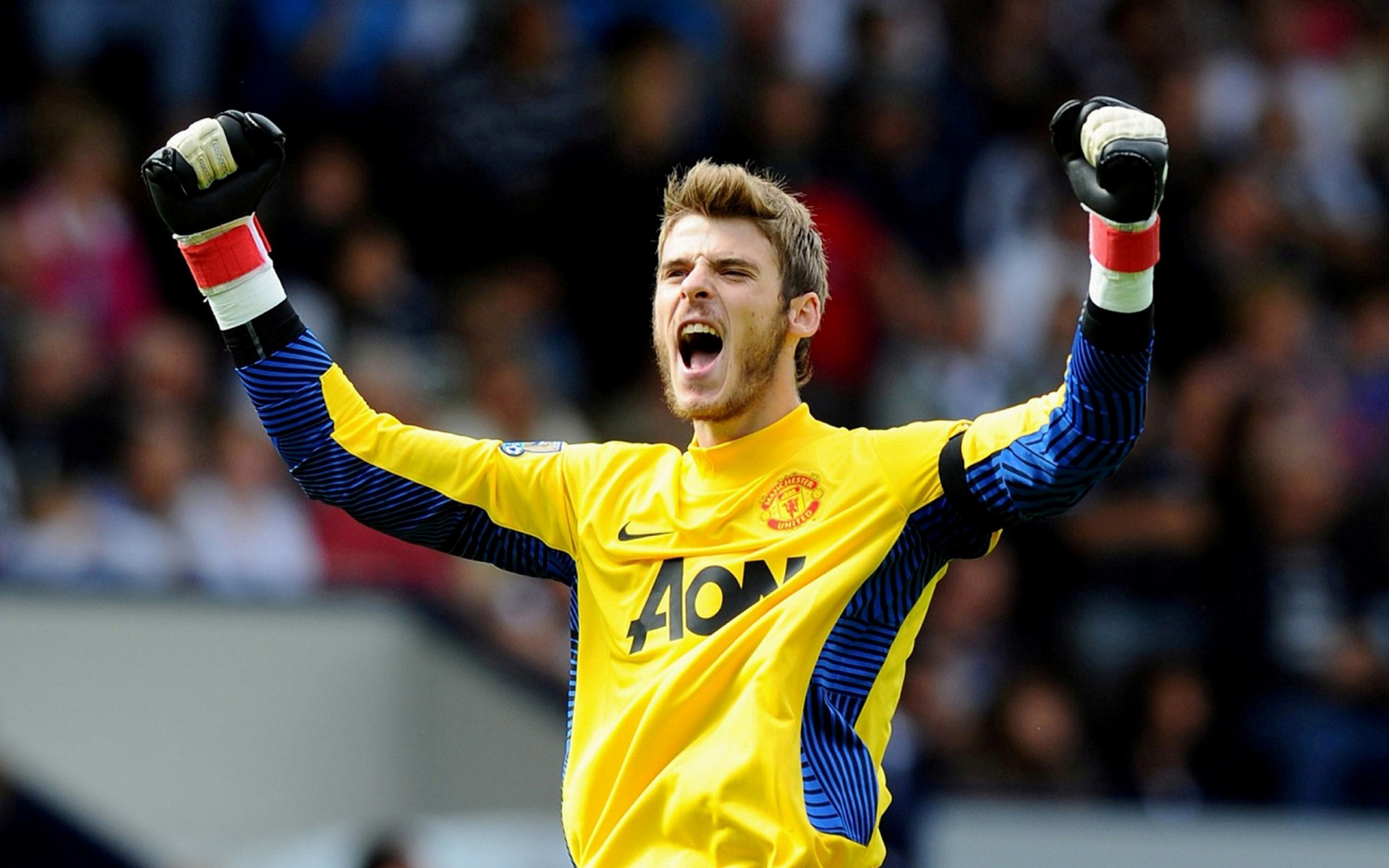 Fonds d'cran Sports - Loisirs David De Gea David De Gea