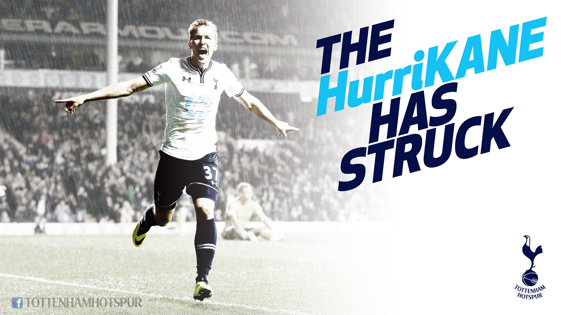 Wallpapers Sports - Leisures  Harry Kane