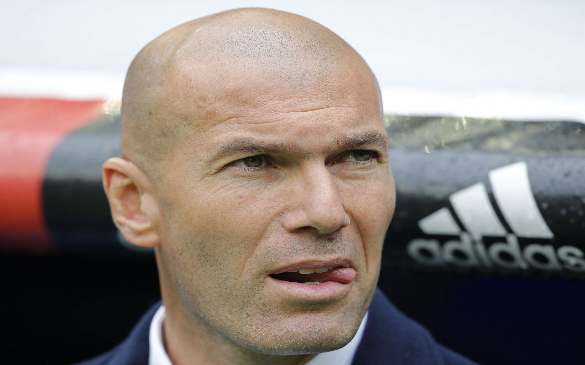 Wallpapers Celebrities Men Zinedine Zidane 