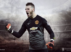  Sports - Loisirs David De Gea