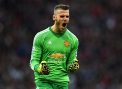  Sports - Leisures David De Gea