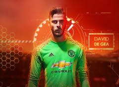  Sports - Leisures David De Gea