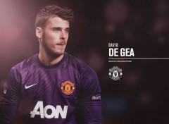  Sports - Loisirs David De Gea