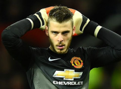  Sports - Loisirs David De Gea