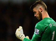  Sports - Leisures David De Gea