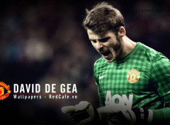  Sports - Leisures David De Gea