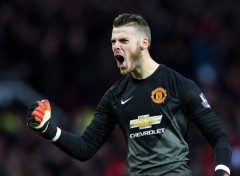  Sports - Leisures David De Gea