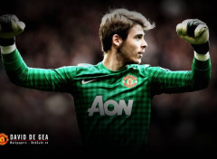  Sports - Leisures David De Gea