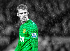  Sports - Leisures David De Gea