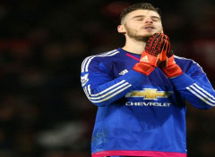  Sports - Loisirs David De Gea